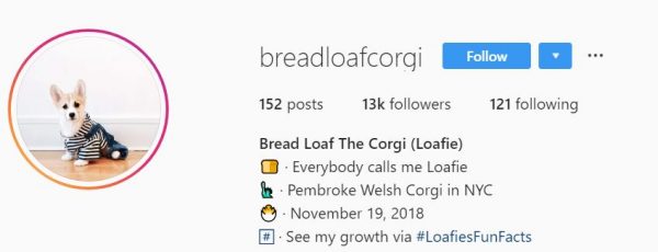 Instagram Bio Ideas with Emoji to Grow Your Account!