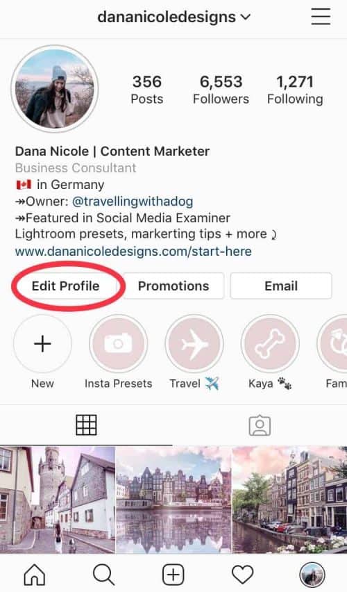 How to Introduce Your Business on Instagram [With Examples]